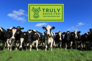 an image of truly grass fed logo with cows in a field