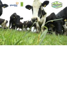 an image of glanbia ireland, truly grass fed and animal welfare approved logos with cows