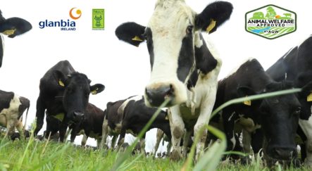 an image of glanbia ireland, truly grass fed and animal welfare approved logos